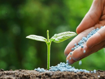 Fertilizers